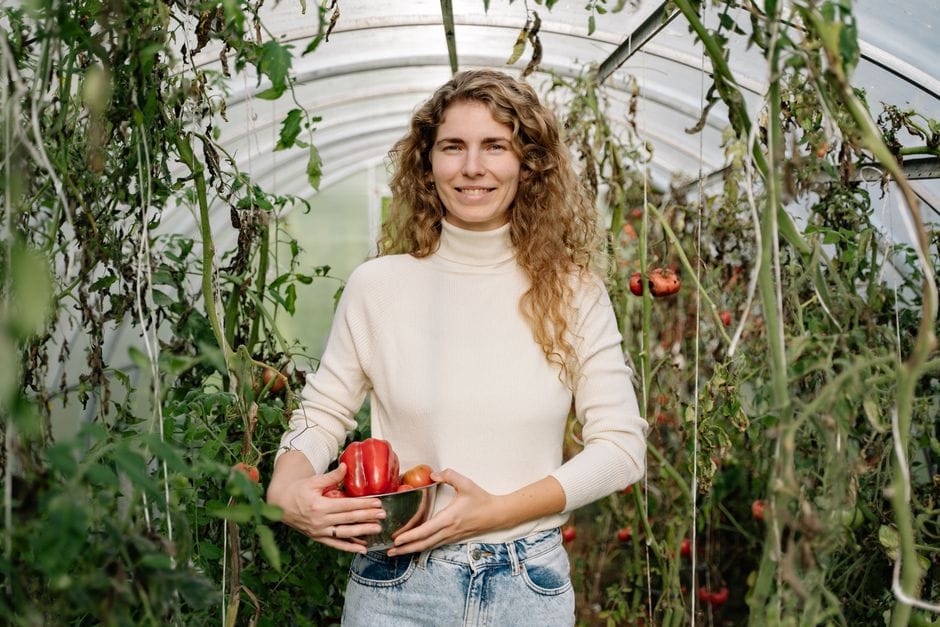 Tomaten und Paprika vorziehen: Start auf der Fensterbank