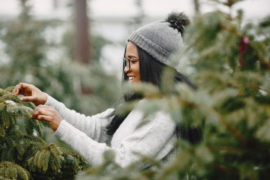 Echter Weihnachtsbaum: auswählen, frisch halten und nachhaltig entsorgen