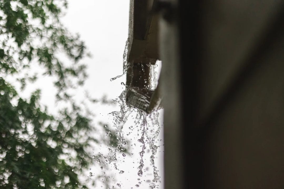 Dachrinne reinigen vor dem Herbst: So verhindern Sie teure Wasserschäden