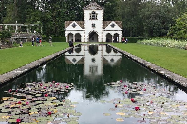 Garten im Hochsommer: clever gießen statt mehr gießen