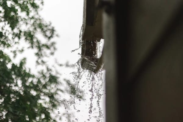 Dachrinne reinigen vor dem Herbst: So verhindern Sie teure Wasserschäden