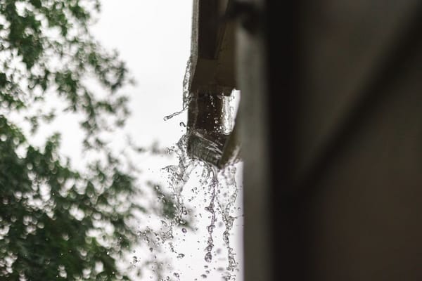 Lichtschächte und Kellerfenster im Spätsommer: Warum ein verstopfter Ablauf im Herbst zum Wasserschaden wird
